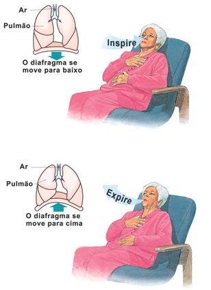 Respiração diafragmática: você respira corretamente? 1 image